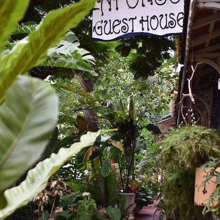 Afonso Guest House Panaji Exterior photo